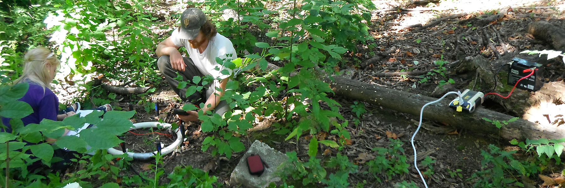 Two researchers taking measurements in a wooded plot.