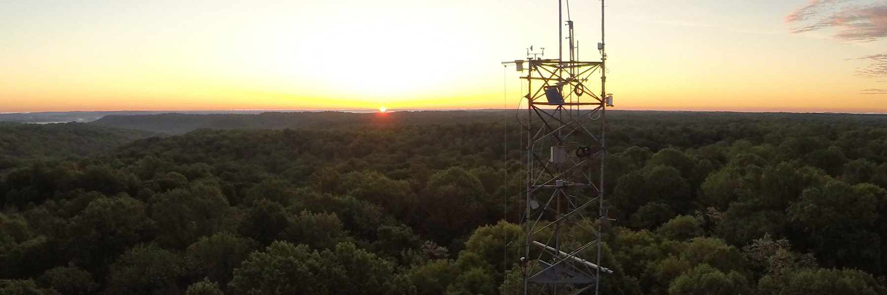 Sunset at the Ameriflux Tower property.