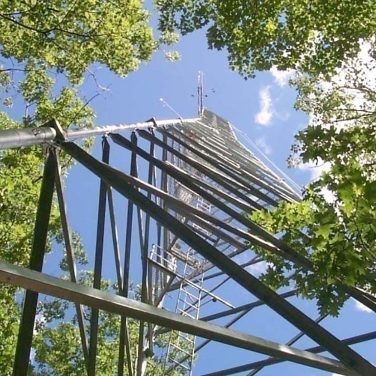 A view of the Ameriflux Tower from the ground.