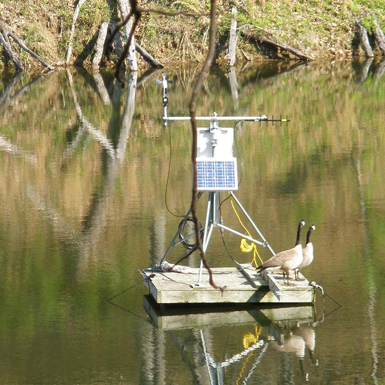 Geese sitting on a research instrument in University Lake.